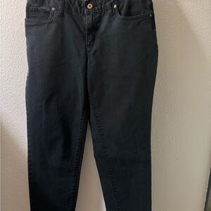 Black Lands End Capri Pants 10P